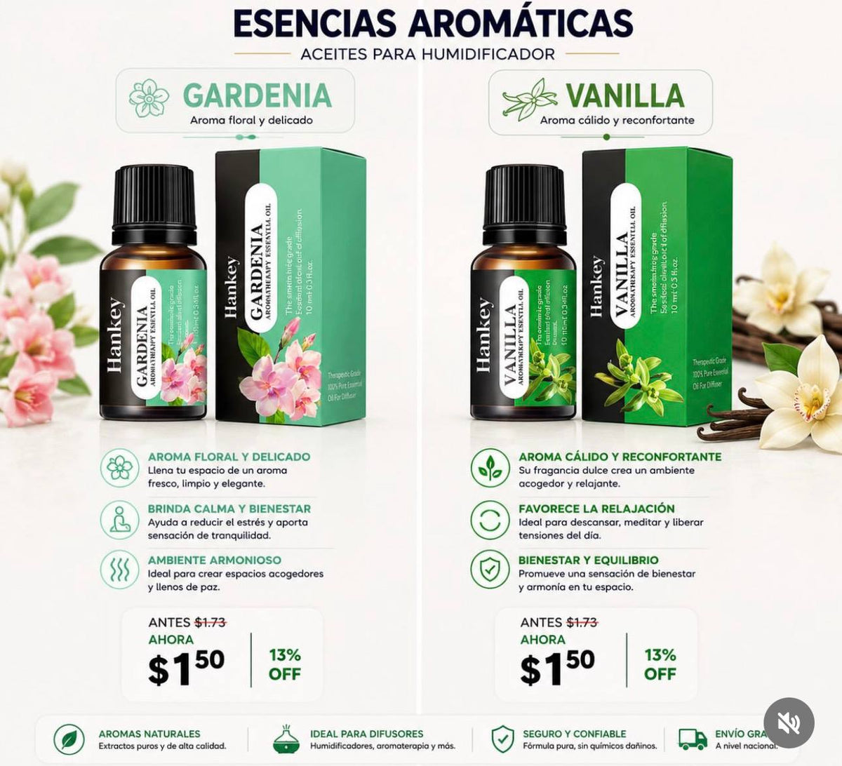Set de Esencias Aromáticas Aritméticas RHJY x6 - Aromaterapia y Relax