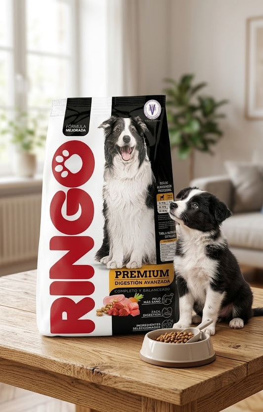 Ringo Premium de Digestión Avanzada